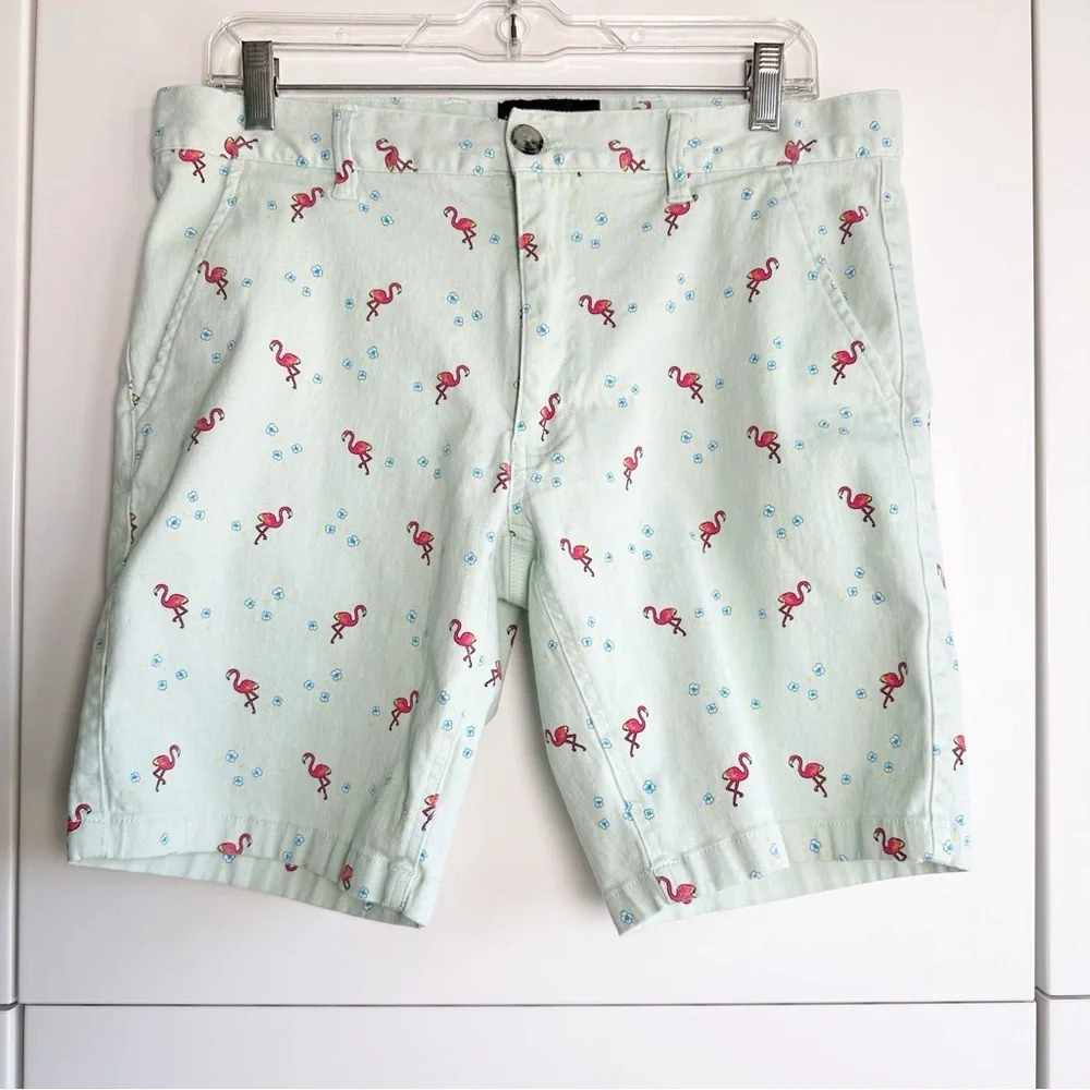 Raw Yarn Industries Mens Shorts Mint Green With Flamingos Size 34 Pockets Zip